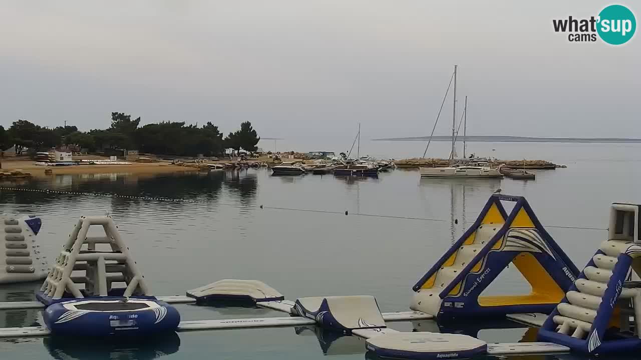 Spletna kamera Kamp Šimuni