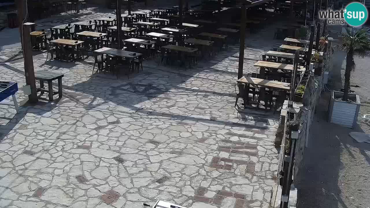 Webcam live Camp – Šimuni