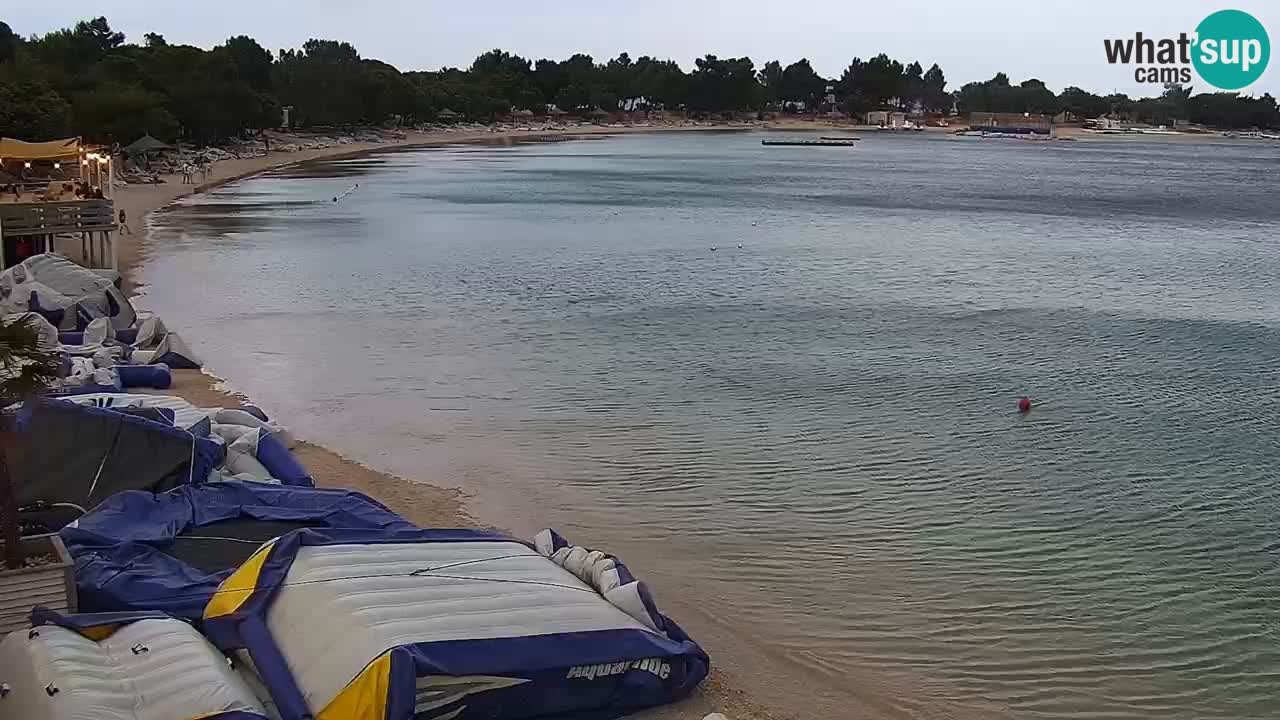 Webcam live Camp – Šimuni