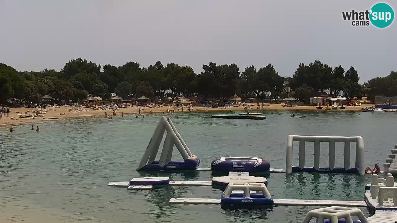 Webcam live Camp – Šimuni