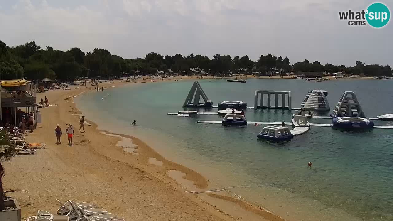 Web kamera Kamp Šimuni
