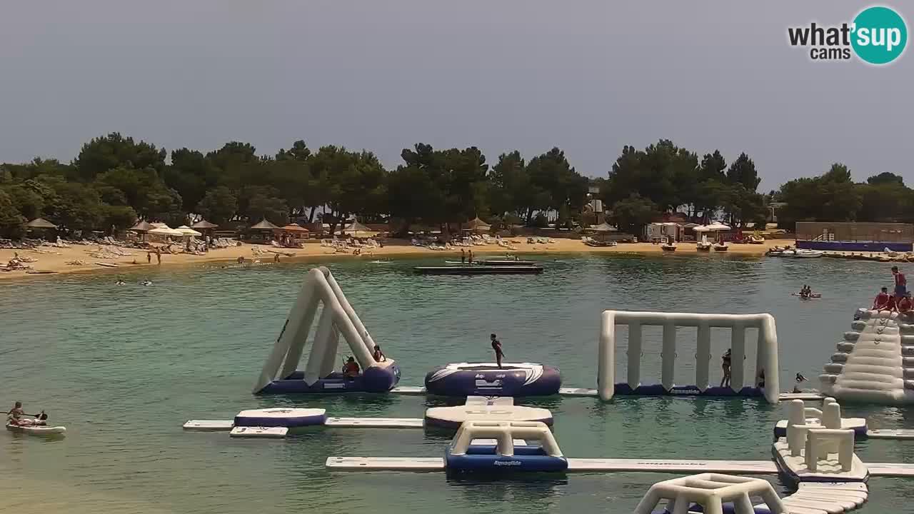 Spletna kamera Kamp Šimuni