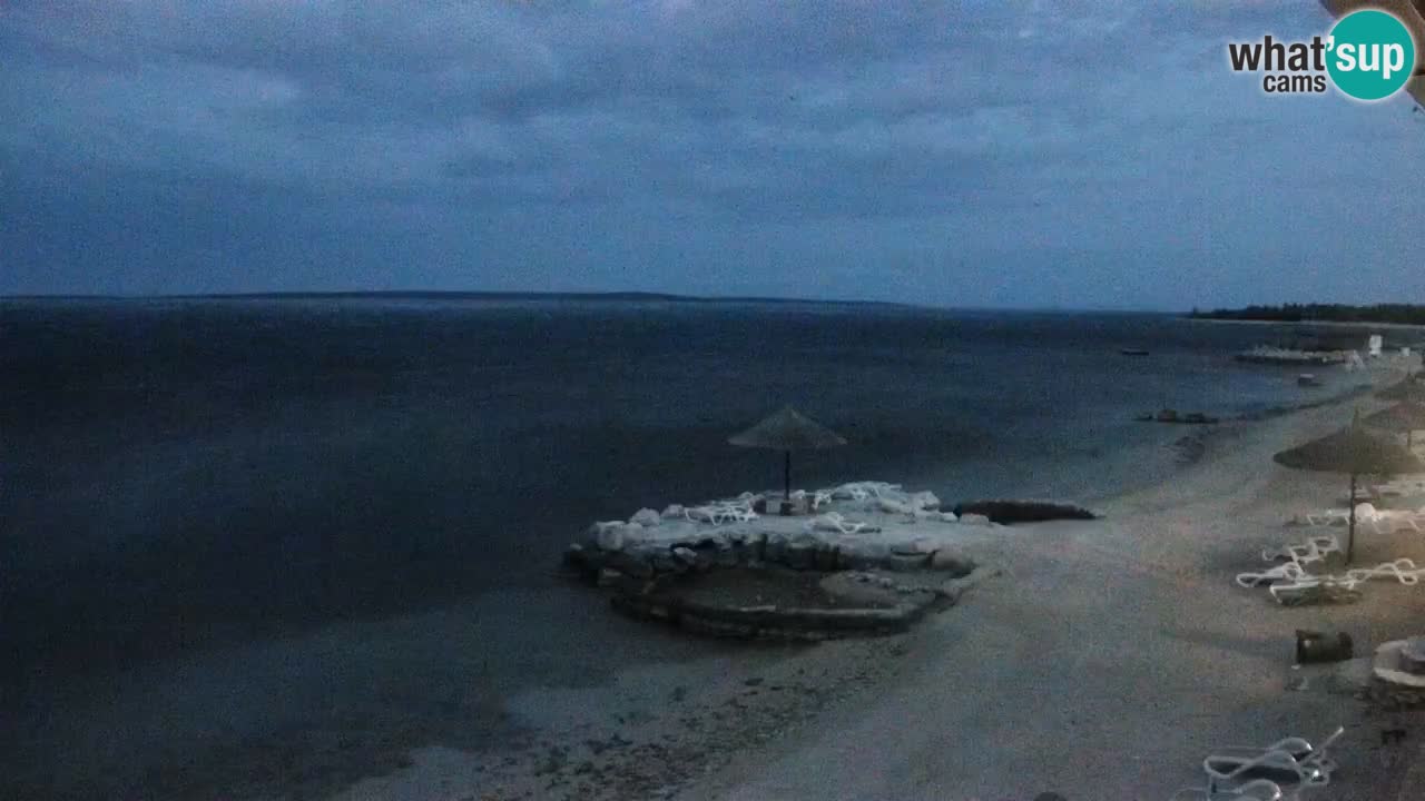 Web kamera Kamp Šimuni