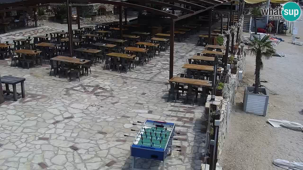 Webcam live Camp – Šimuni