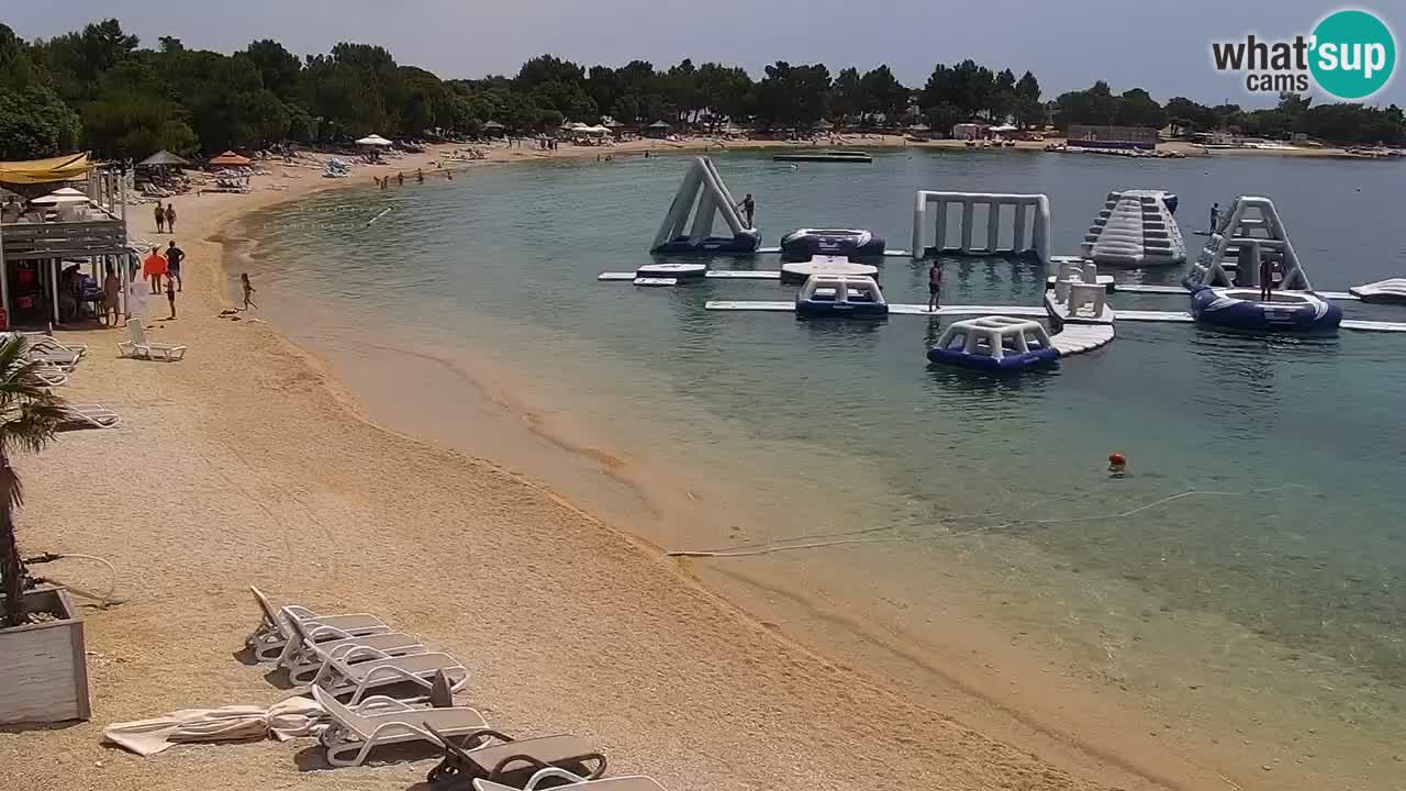 Webcam live Campeggio Šimuni