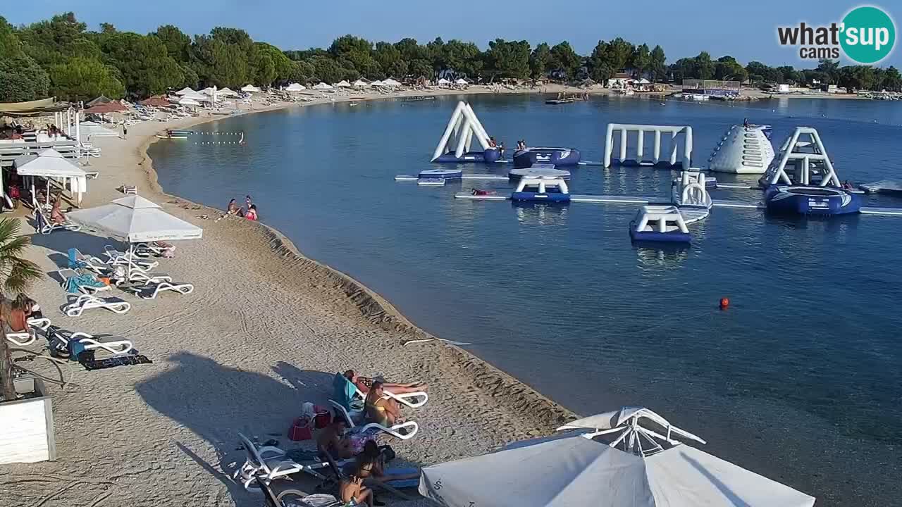 Web kamera Kamp Šimuni