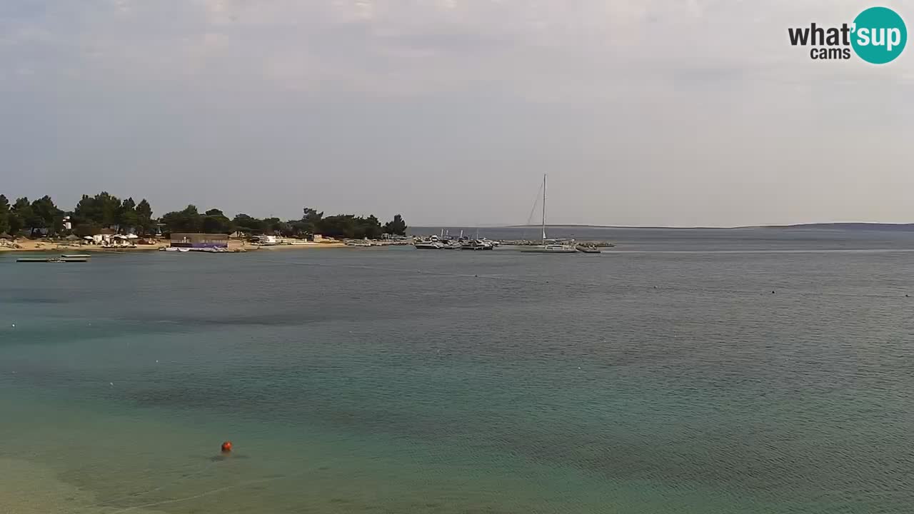 Spletna kamera Kamp Šimuni