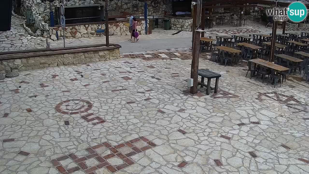 Web kamera Kamp Šimuni