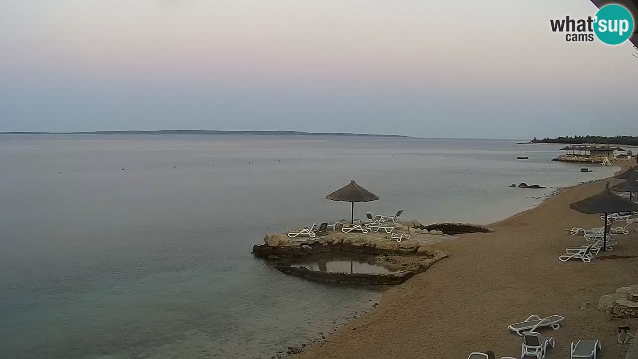Webcam live Camp – Šimuni