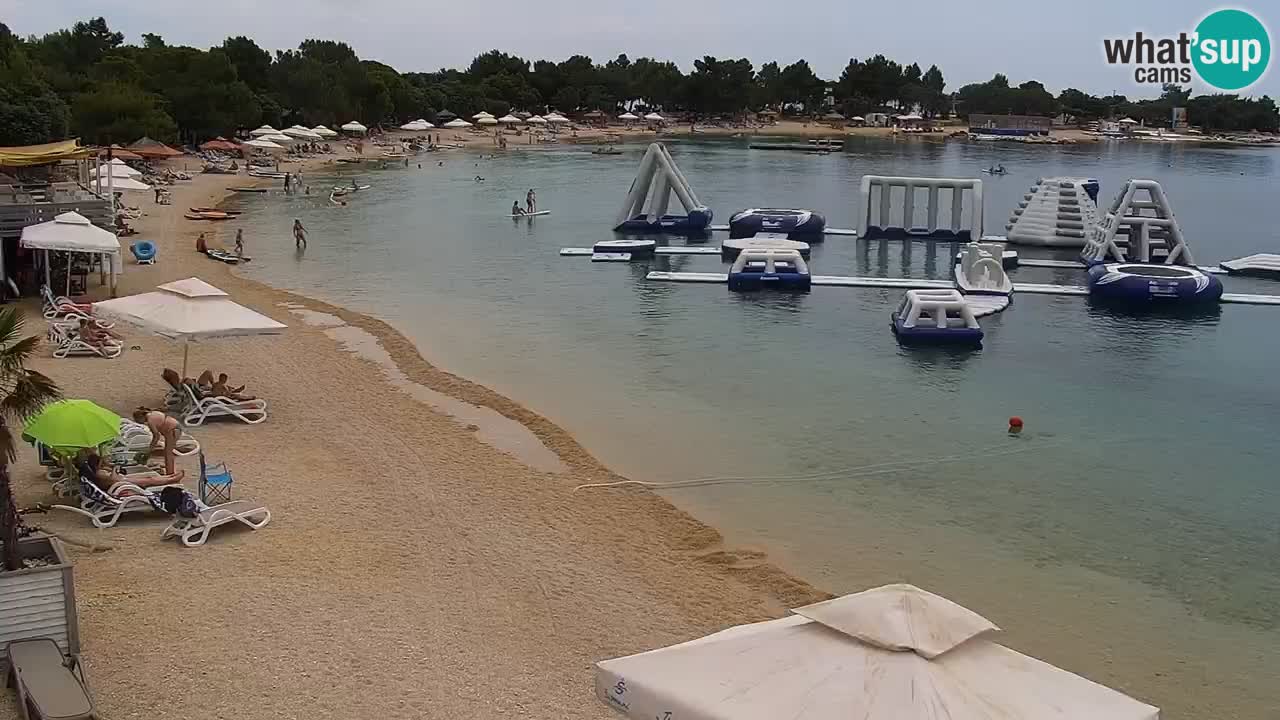 Webcam live Camp – Šimuni