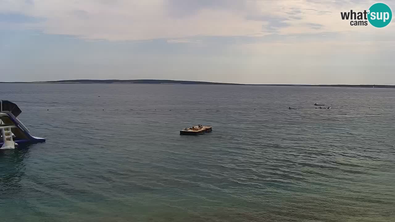 Webcam live Camp – Šimuni
