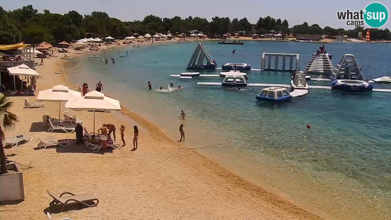 Spletna kamera Kamp Šimuni
