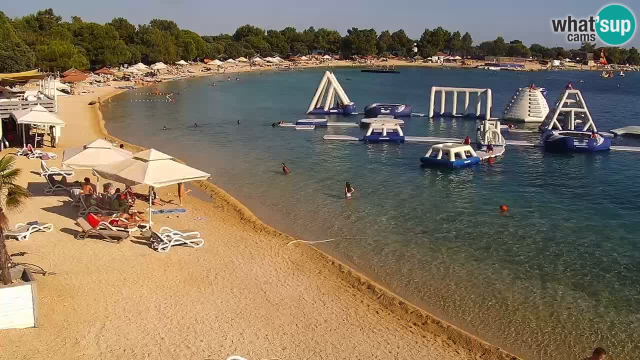 Web kamera Kamp Šimuni