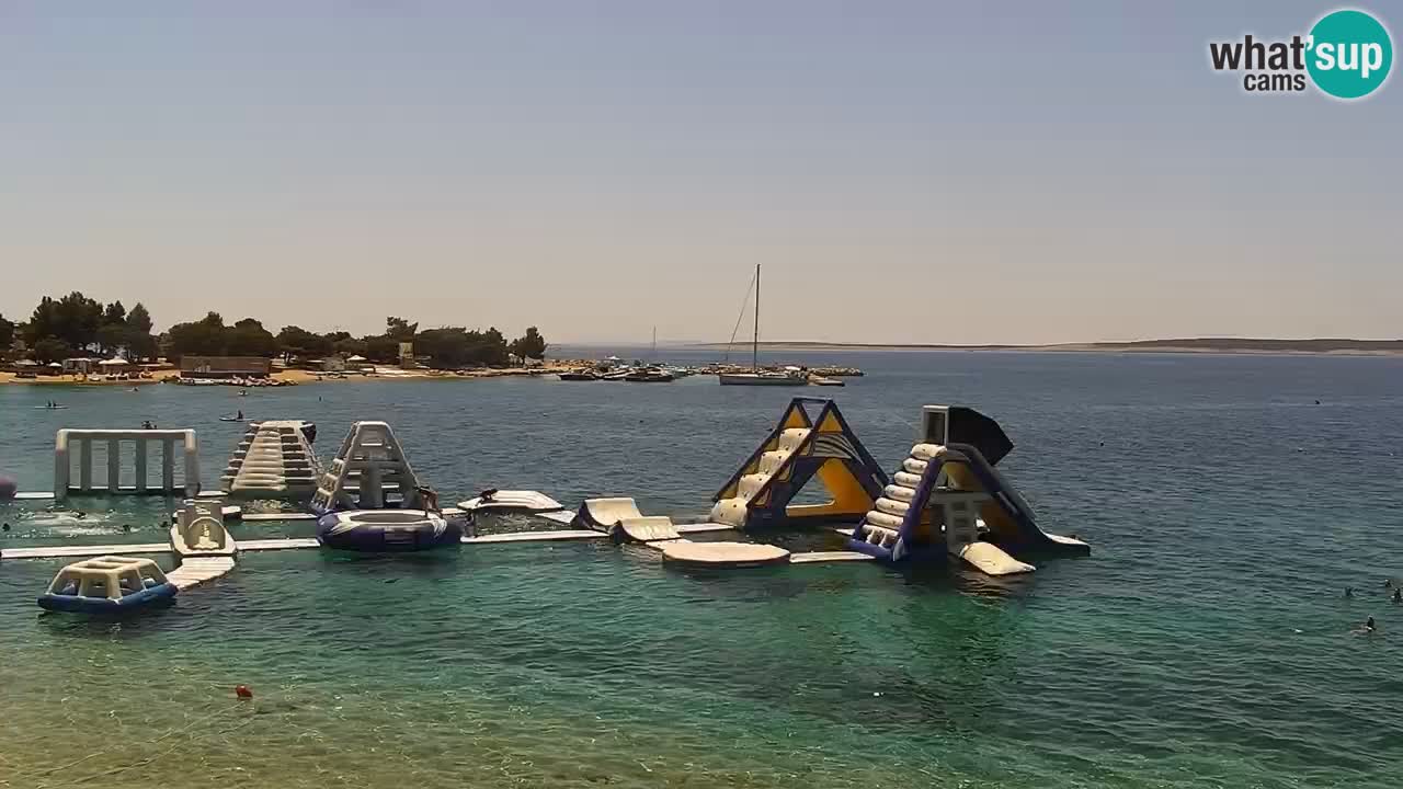 Web kamera Kamp Šimuni
