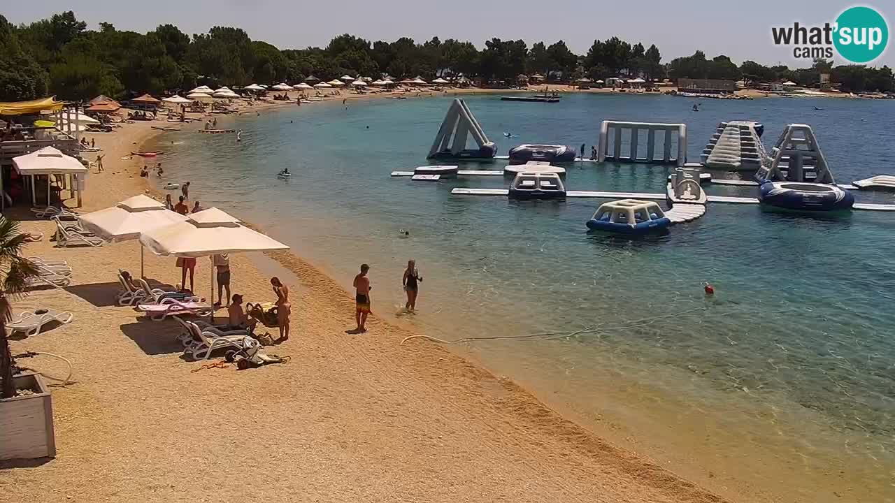 Webcam live Camp – Šimuni