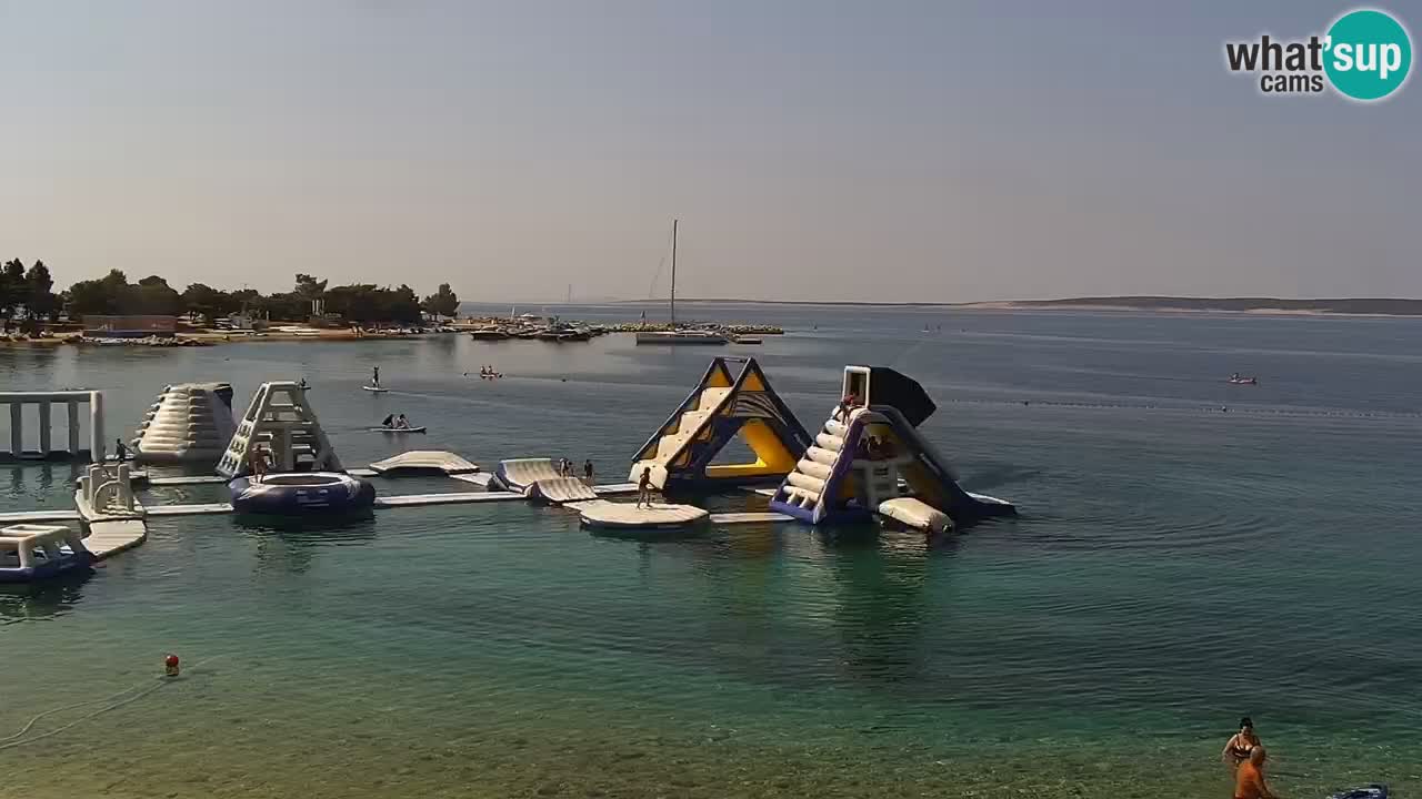 Web kamera Kamp Šimuni