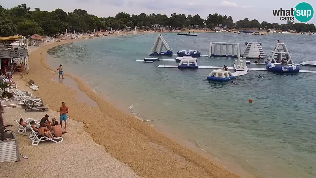 Web kamera Kamp Šimuni