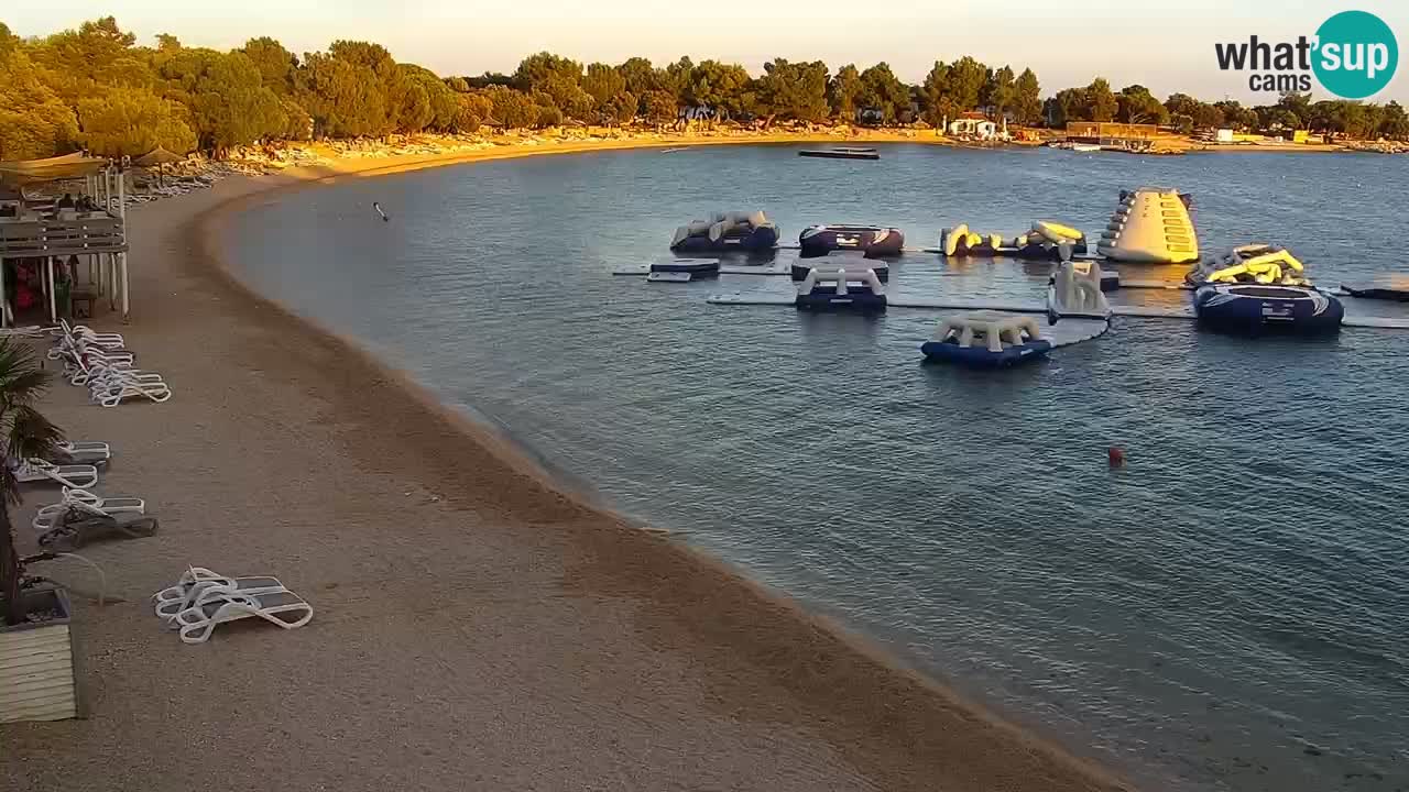 Webcam live Camp – Šimuni