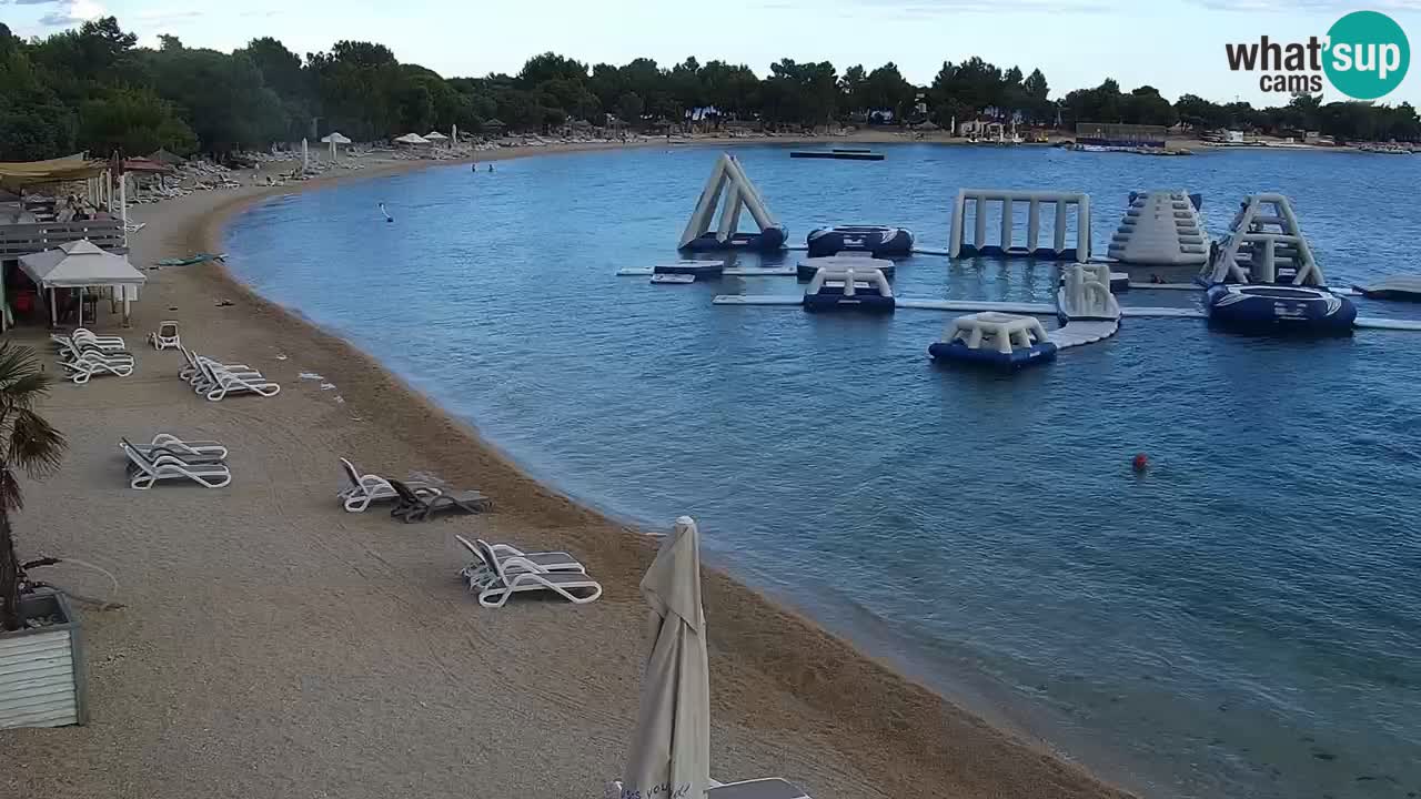 Web kamera Kamp Šimuni