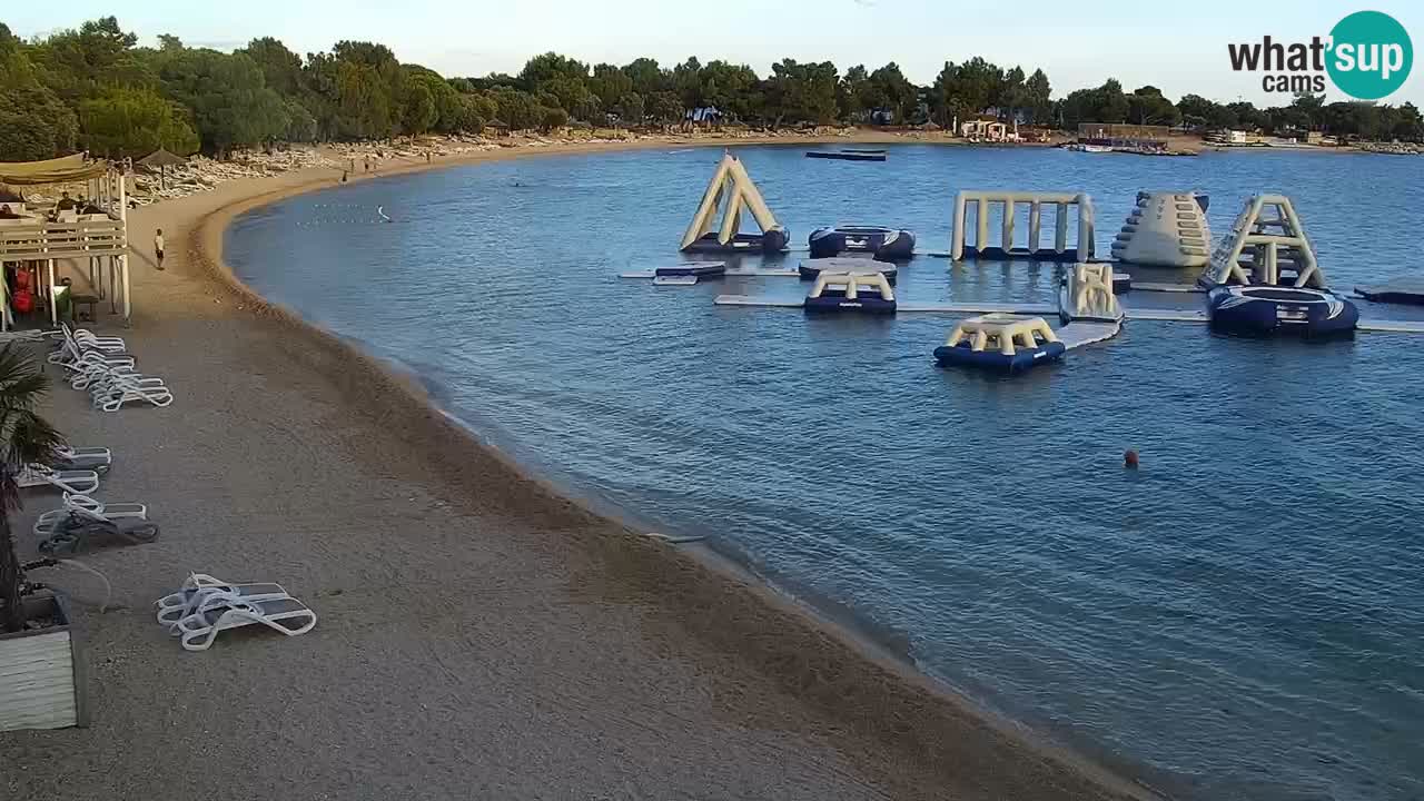 Web kamera Kamp Šimuni