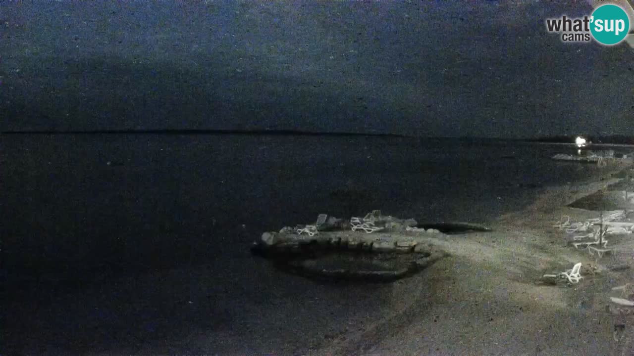 Spletna kamera Kamp Šimuni