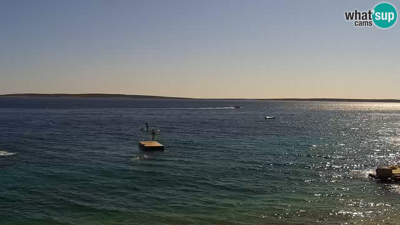 Web kamera Kamp Šimuni