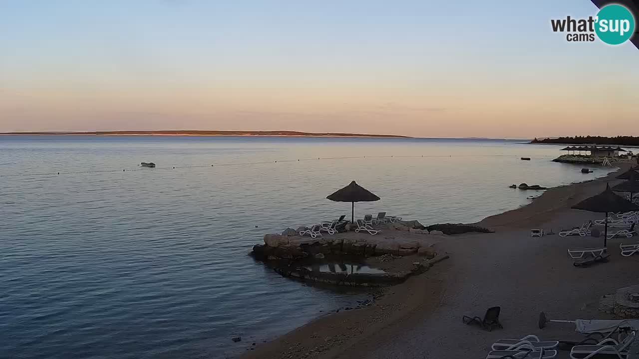 Webcam live Camp – Šimuni