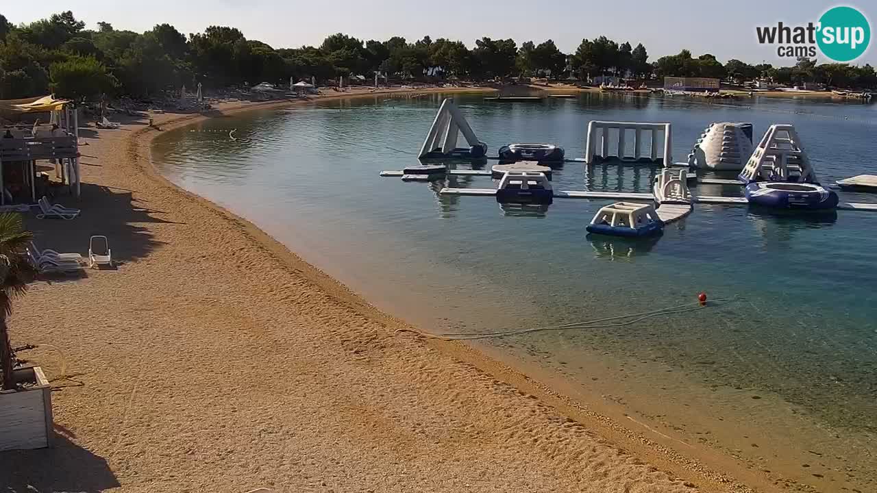 Webcam live Camp – Šimuni