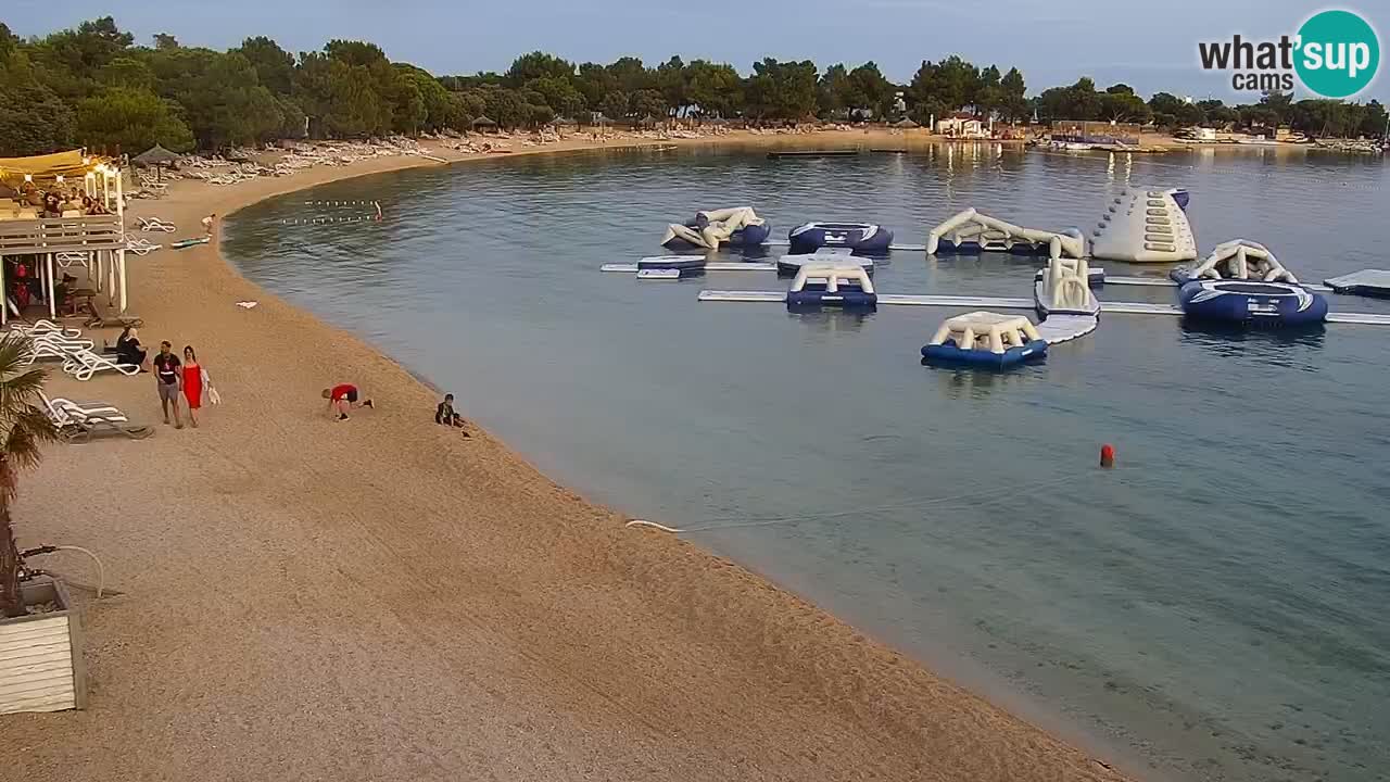 Webcam live Camp – Šimuni