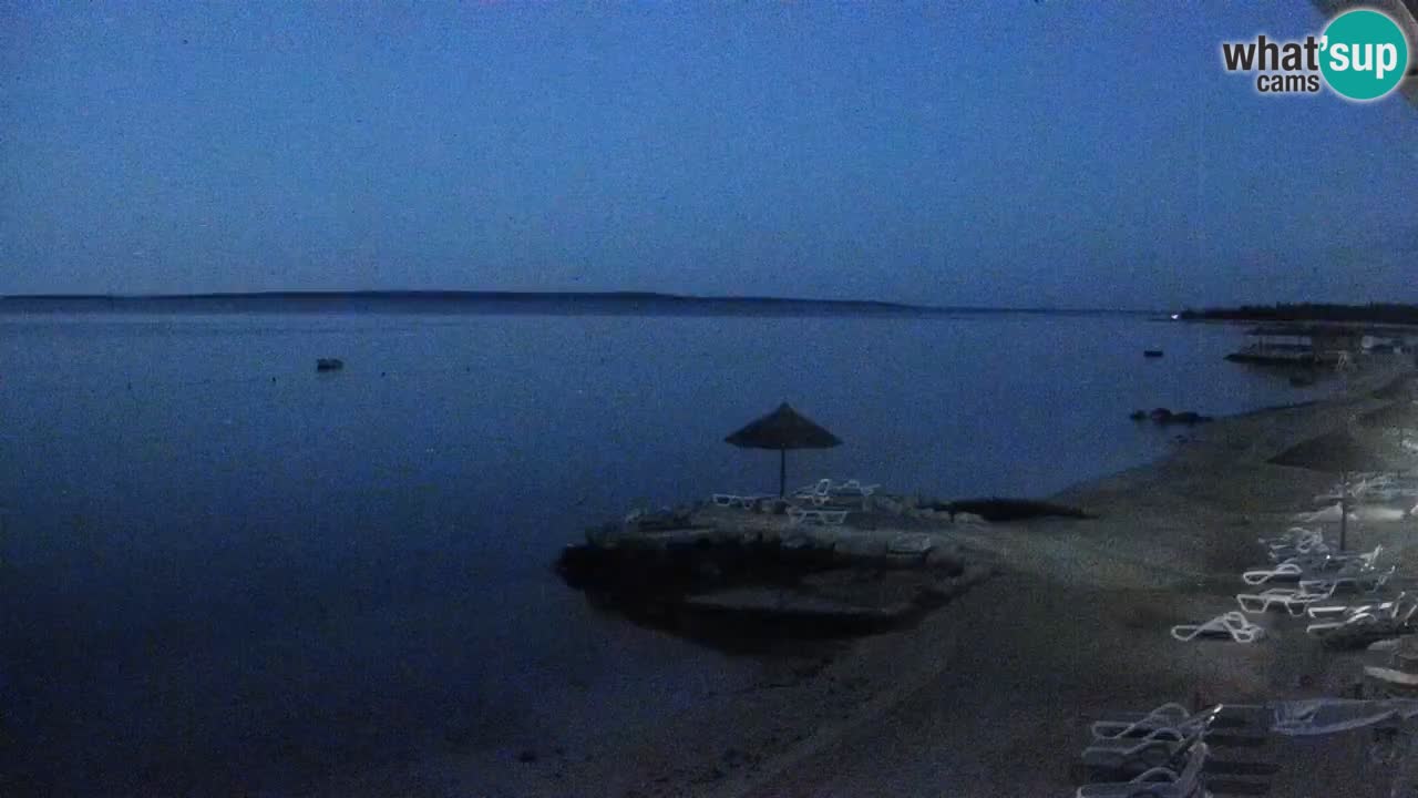 Webcam live Camp – Šimuni