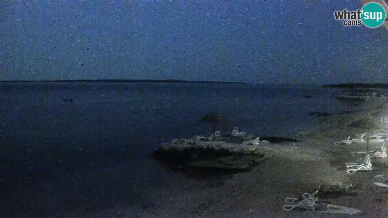 Webcam live Camping – Šimuni