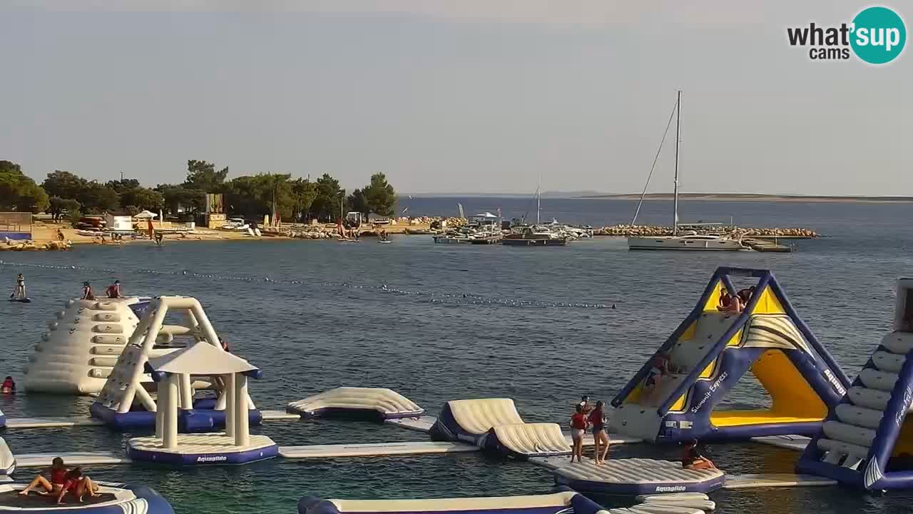 Web kamera Kamp Šimuni