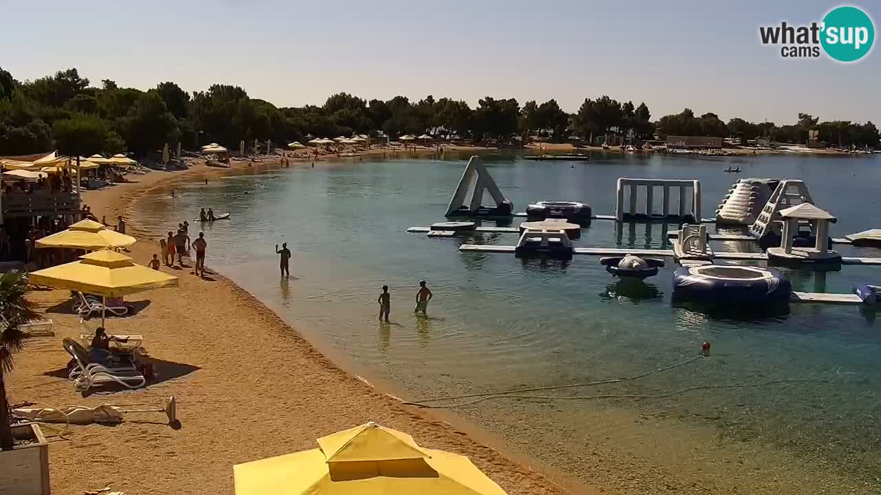Web kamera Kamp Šimuni