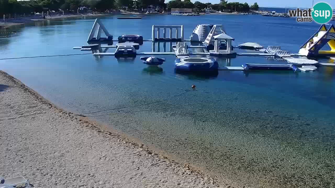 Webcam live Camp – Šimuni