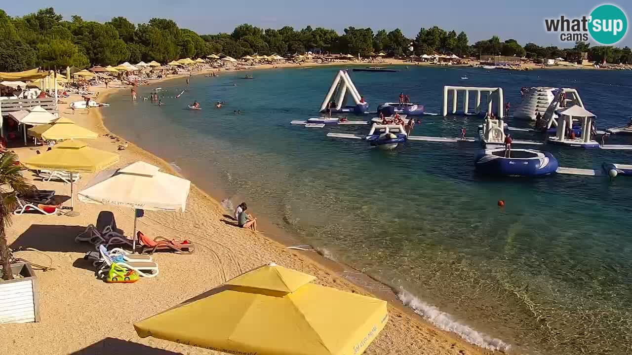 Spletna kamera Kamp Šimuni