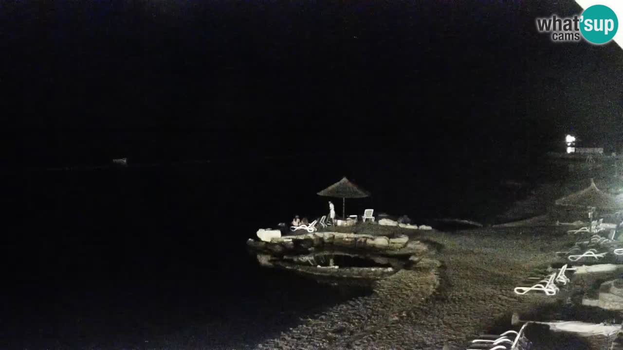 Webcam live Camp – Šimuni