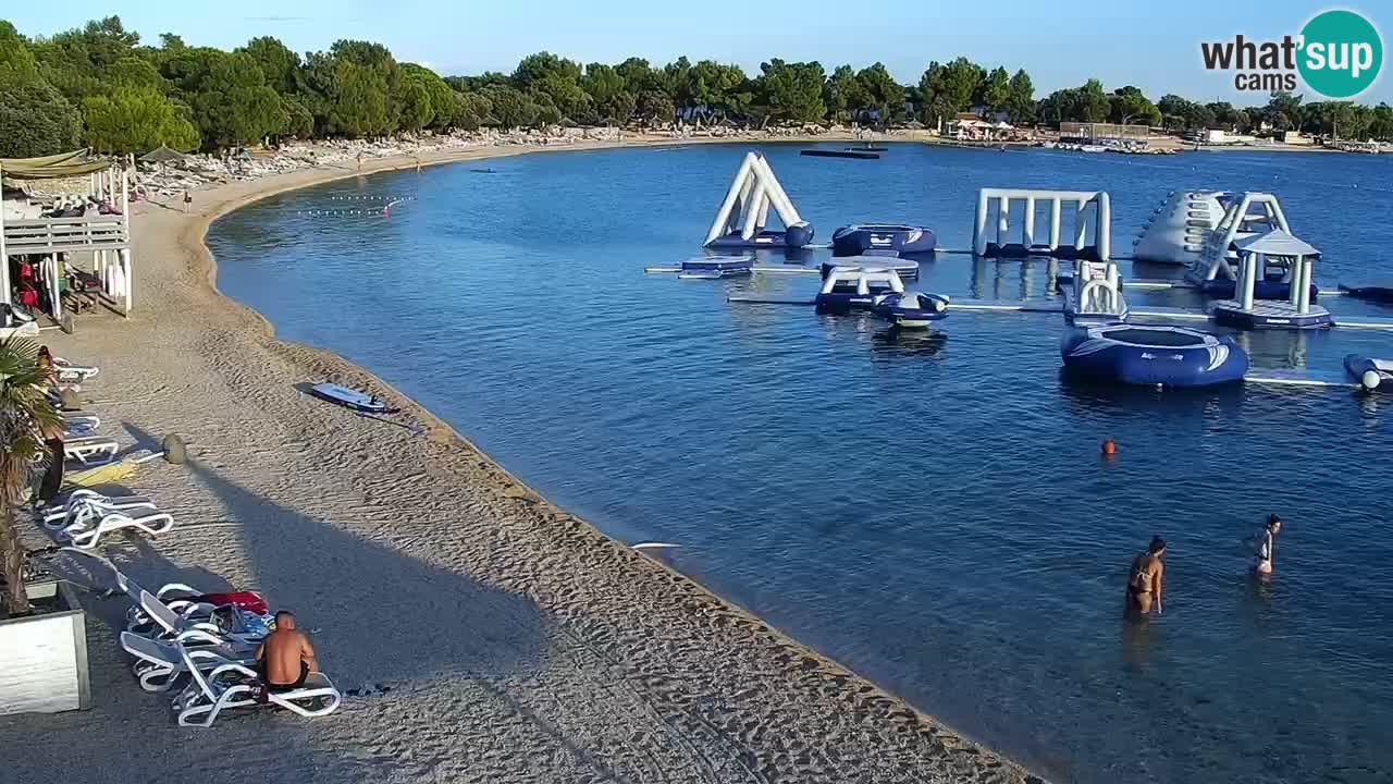 Webcam live Camp – Šimuni