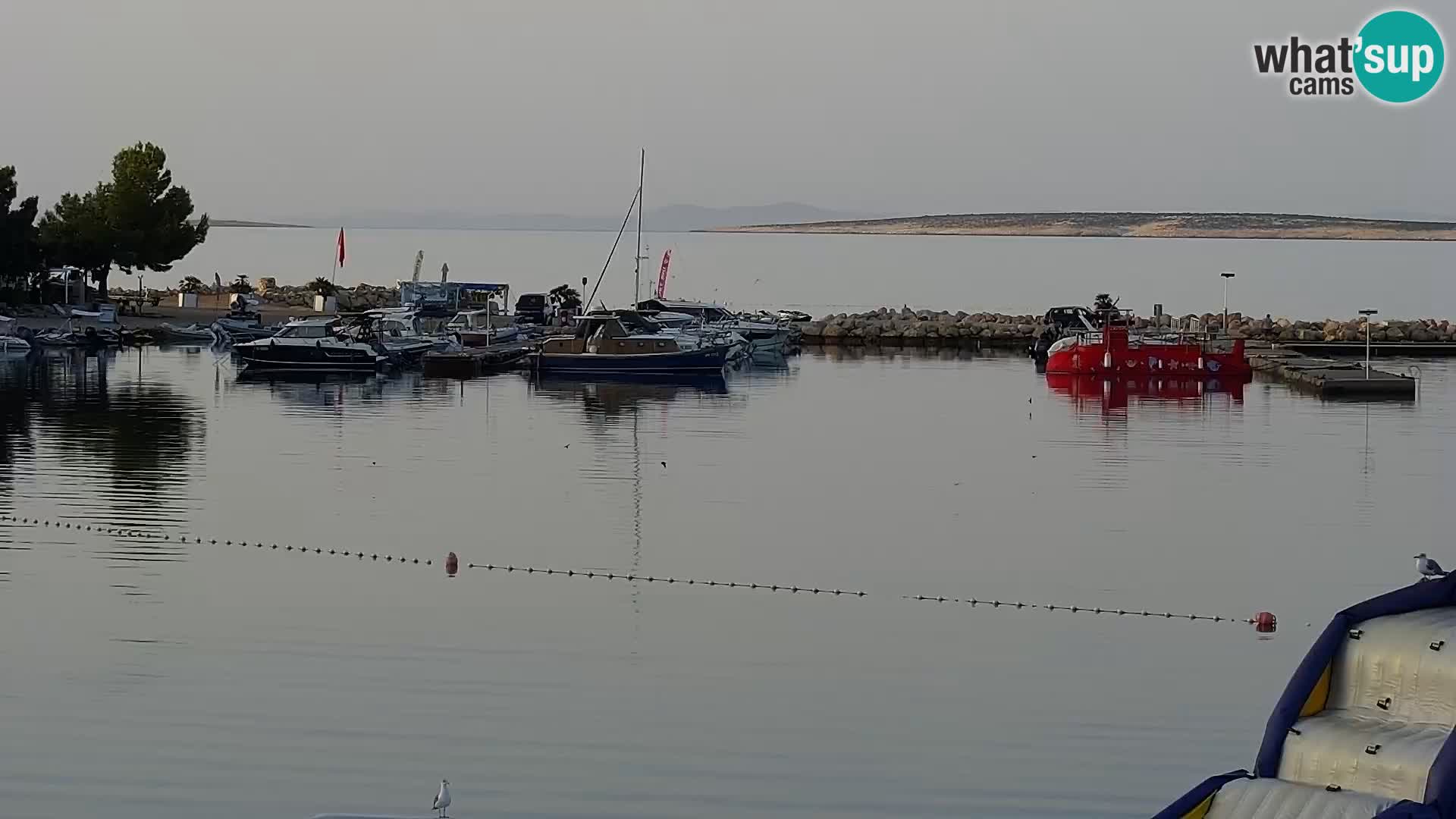 Spletna kamera Kamp Šimuni