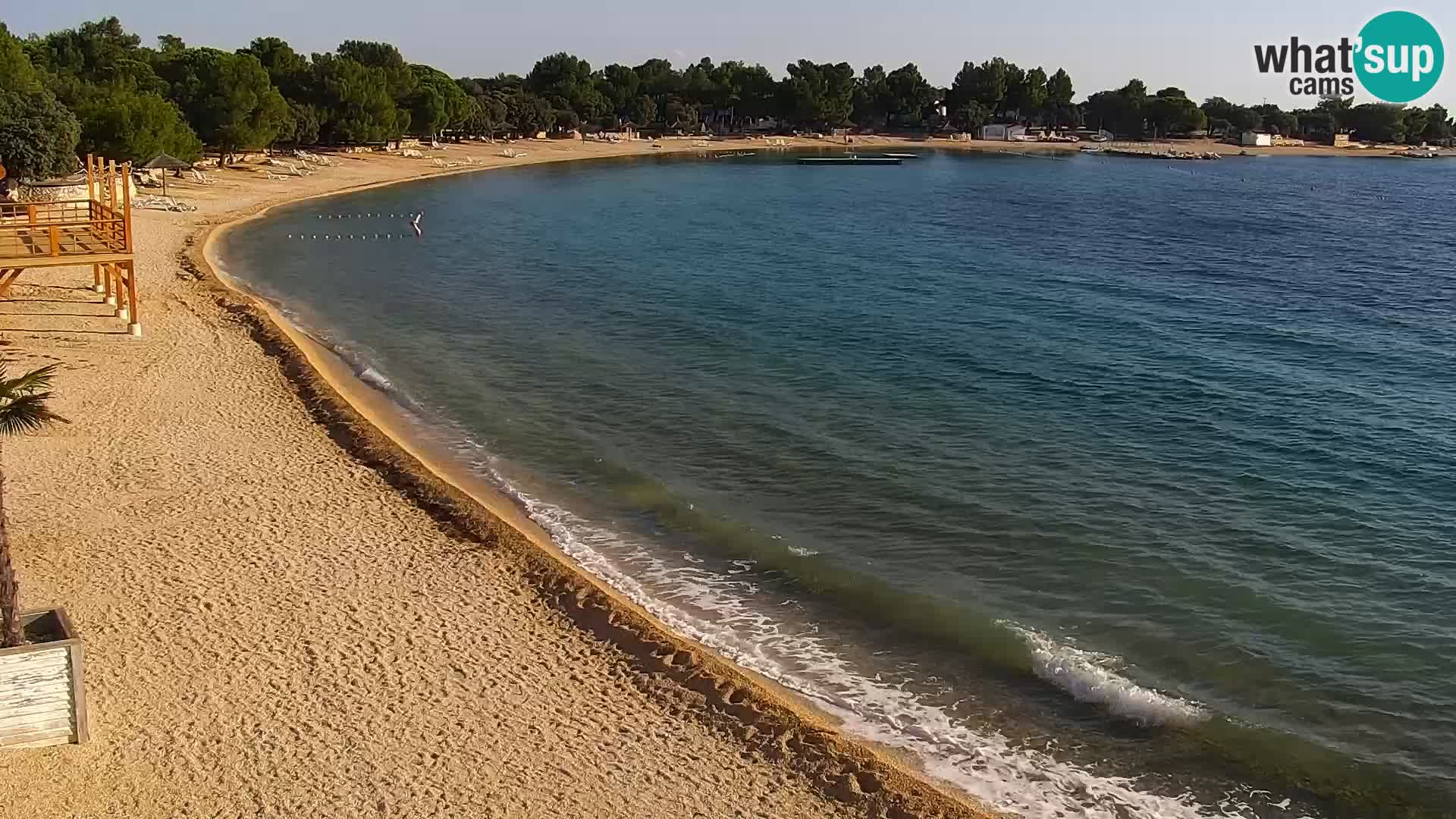 Webcam - Šimuni (Pag)