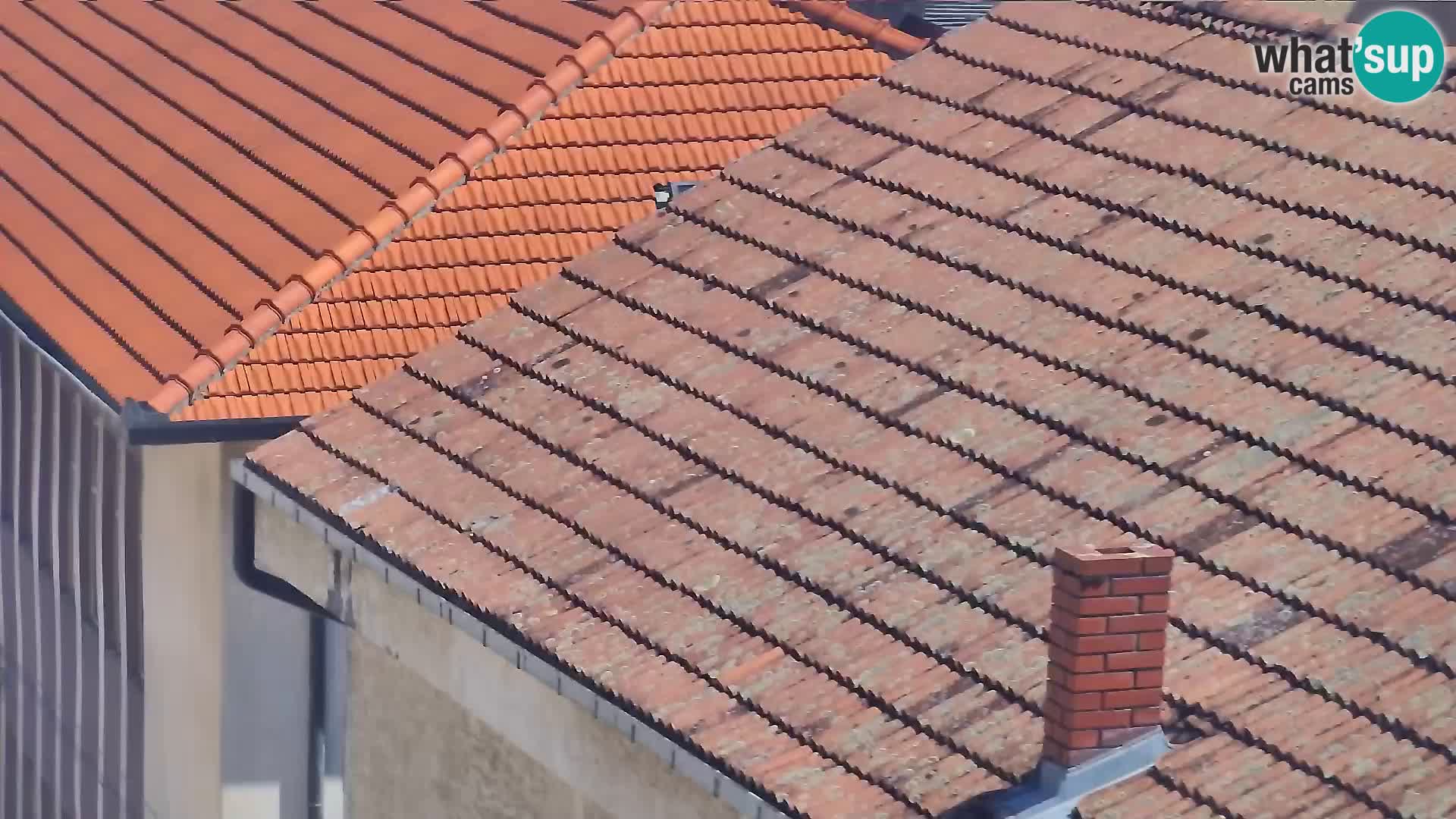 Sinj mestno središče
