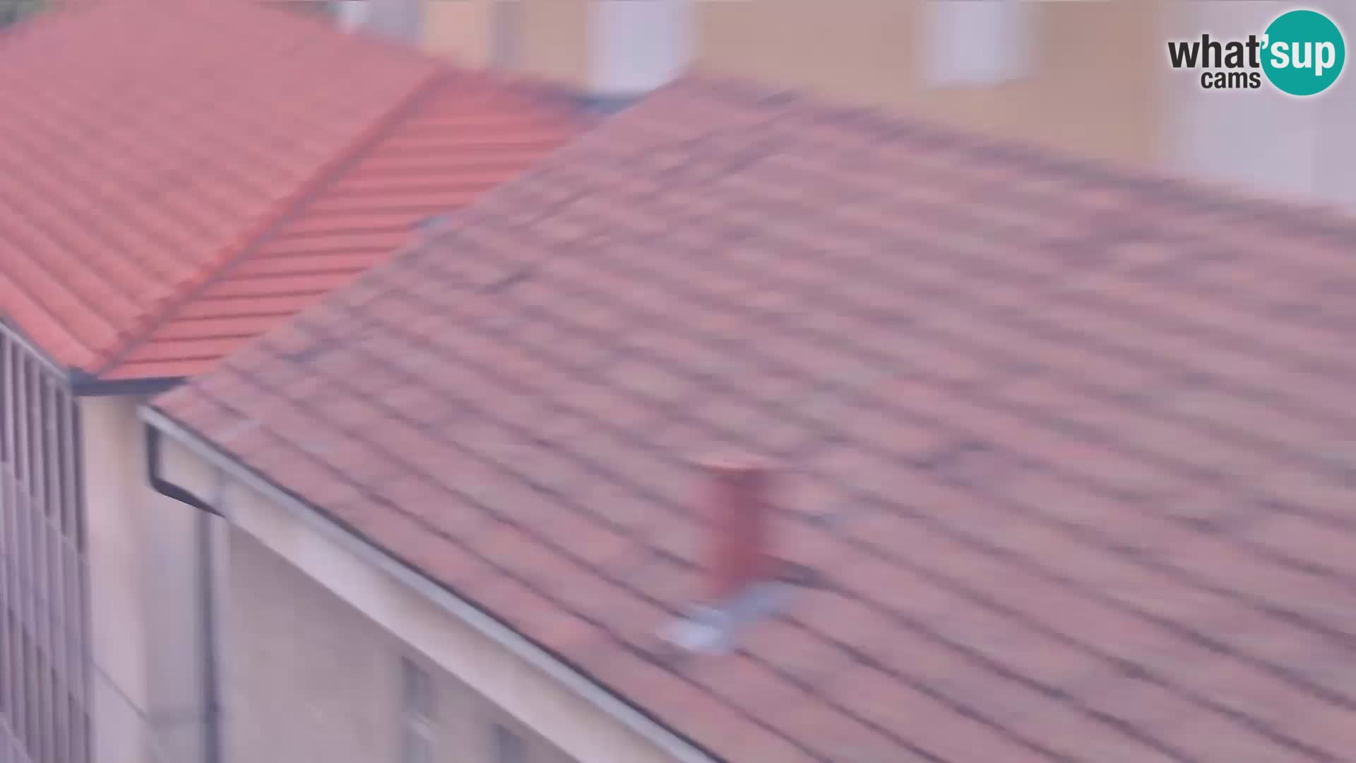 Sinj mestno središče