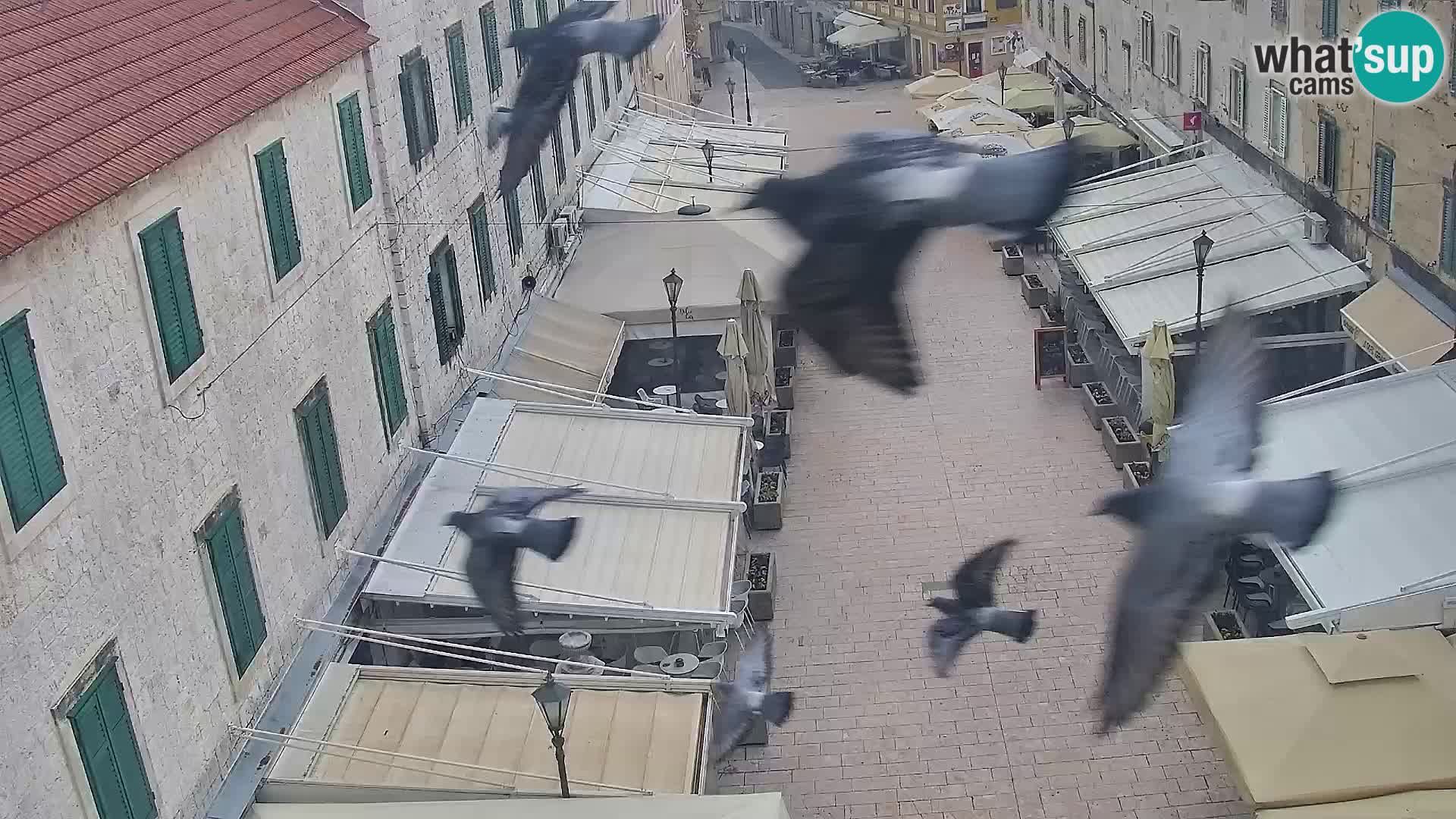 Sinj mestno središče