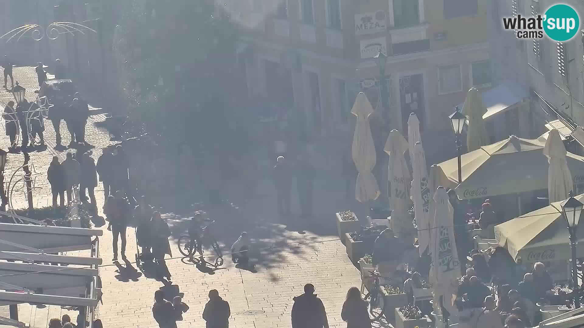 Sinj mestno središče