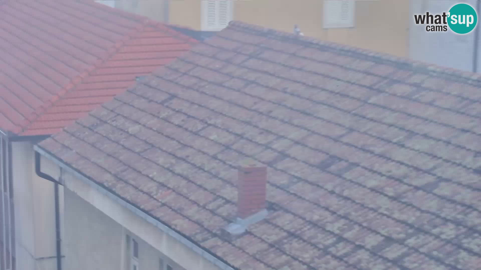 Sinj Innenstadt – Dalmatien