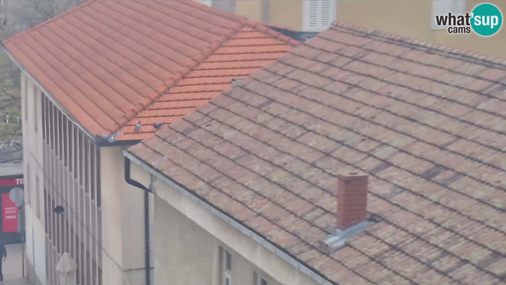 Sinj mestno središče