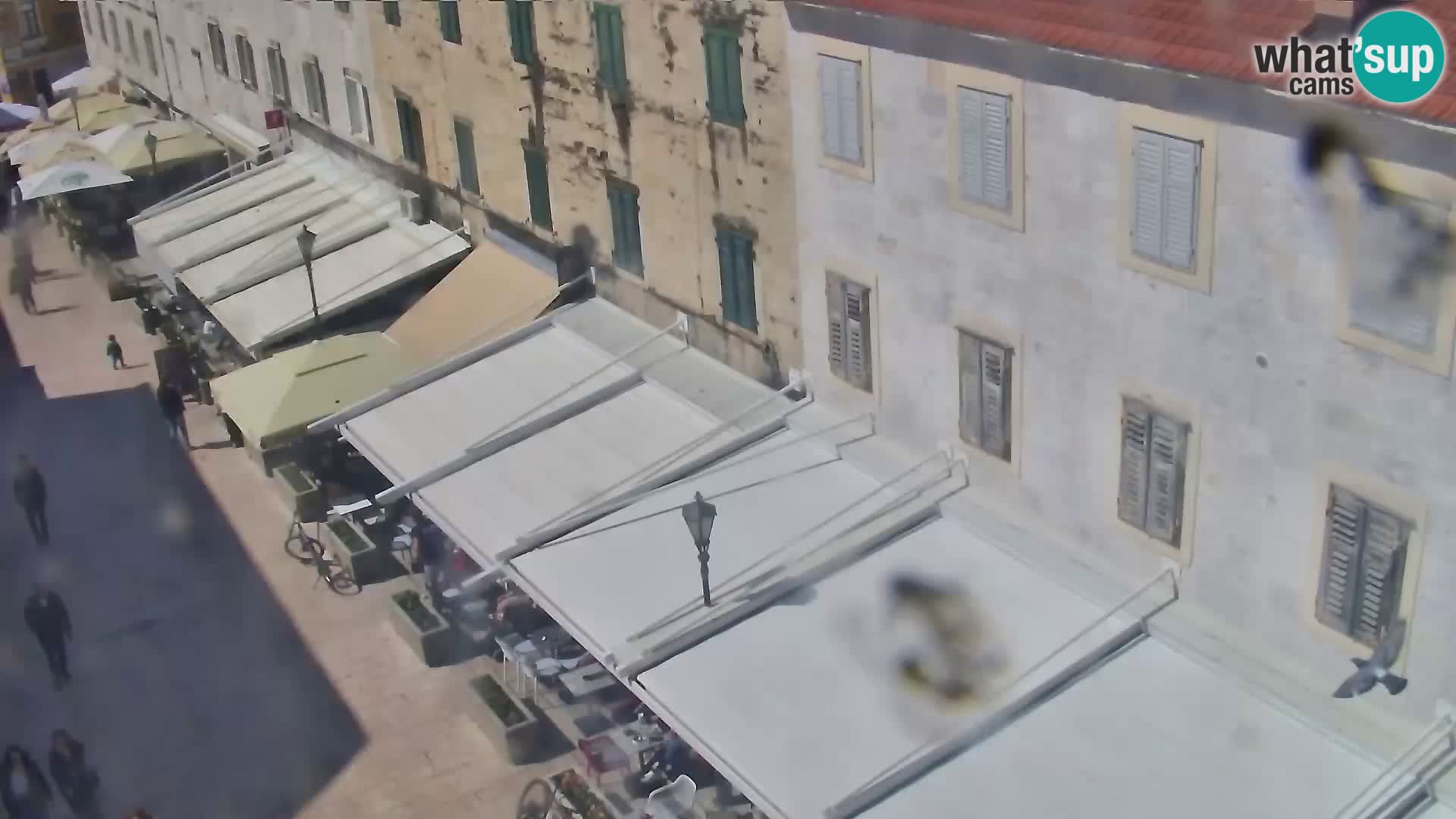 Sinj centro città