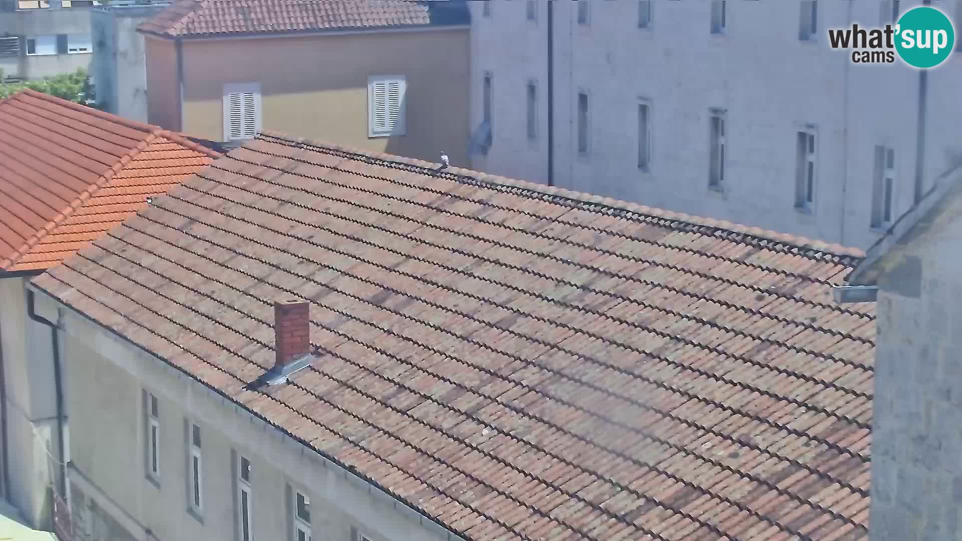 Sinj city center
