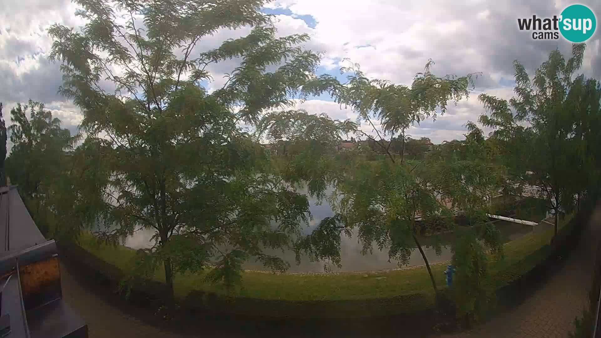Sisak webcam en vivo Kolpa river view – Croacia