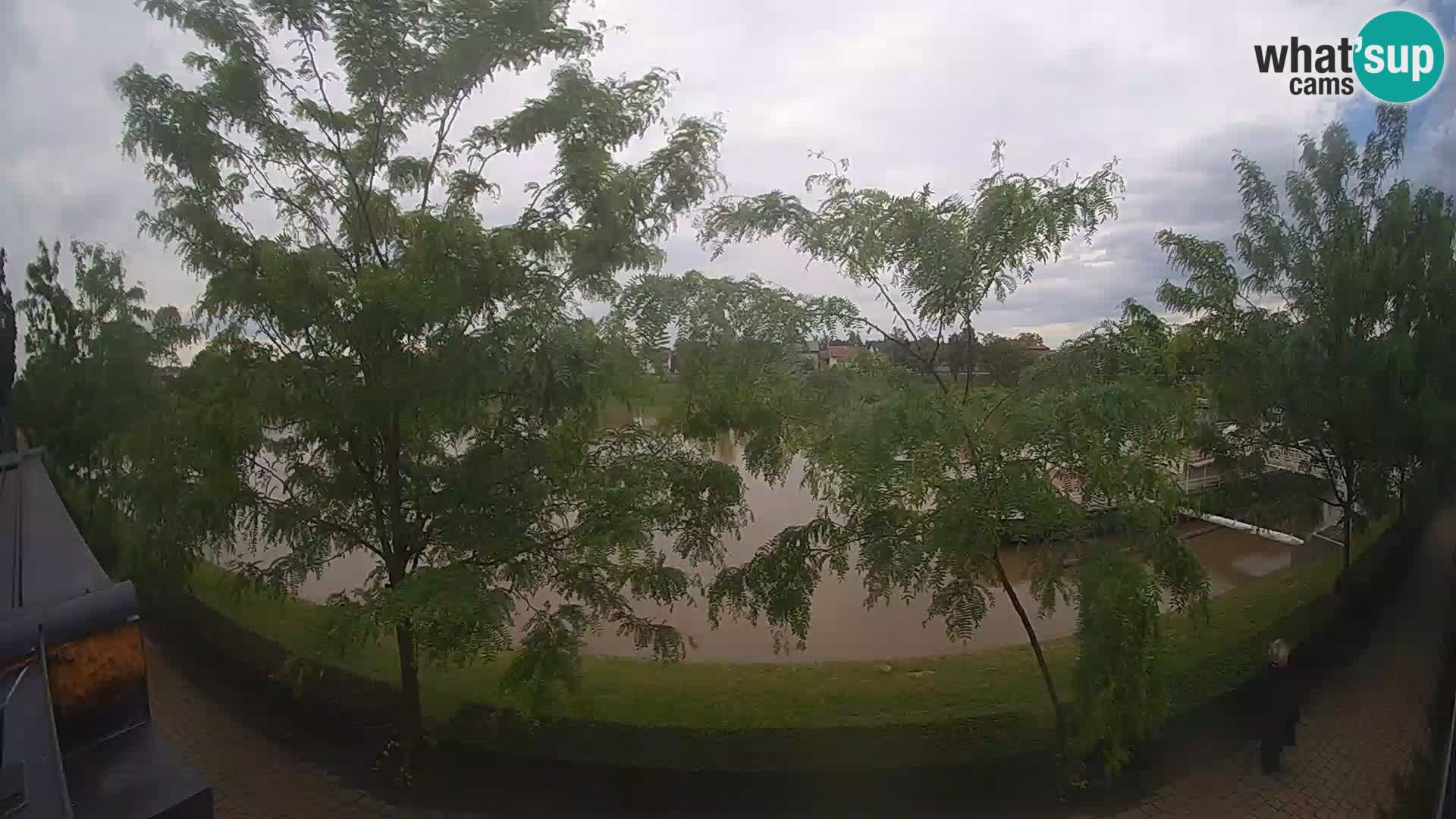 Sisak webcam en vivo Kolpa river view – Croacia