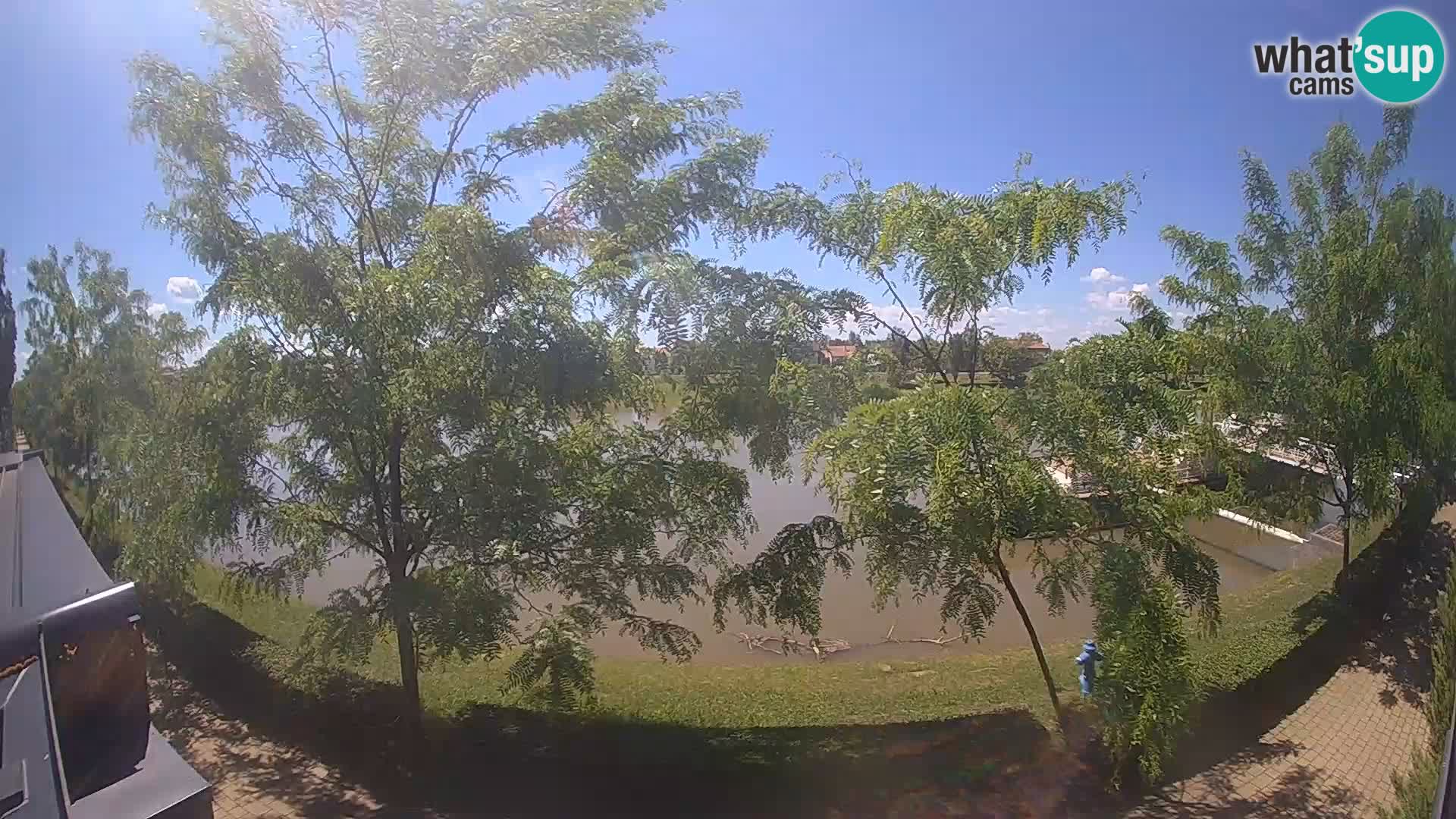 Sisak webcam en vivo Kolpa river view – Croacia